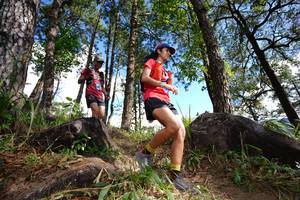 BIB: 
                            <button type="button" onclick="openModal(18888248)" class="btn btn-primary btn-sm float-right btn-popup" data-toggle="modal" data-target=".modal-high-quality">
                        <i class="fas fa-shopping-cart"></i> Add to Cart
                    </button>
                                            <button type="button" onclick="isThisMe(18888248, true)" class="btn btn-success btn-sm float-right btn-popup btn-isme hidden" data-toggle="tooltip" data-placement="bottom" title="นี่คือรูปของคุณใช่ไหม คลิกที่นี่เพื่อเอาเข้าอัลบั้ม">
                        <i class="fas fa-plus"></i> Add to album
                    </button>
                    <button type="button" onclick="isThisMe(18888248, false)" class="btn btn-warning btn-sm float-right btn-popup btn-isnotme hidden">
                        <i class="fas fa-ban"></i> Remove from album
                    </button>